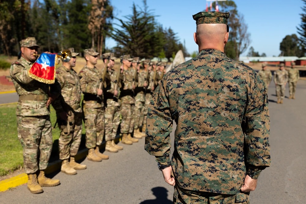 chilean military camouflage pattern1