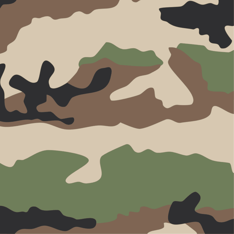 What are The TOP 10 military camouflage patterns?