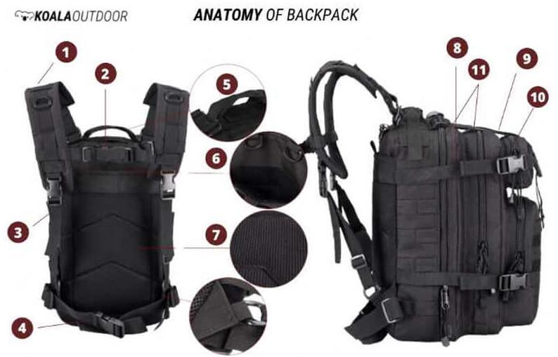 Backpack Ergonomic Harness Systems for Comfort